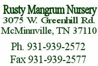 Rusty Mangrum Nursery McMinnville TN. Wholesale Nursery - Fruit Trees - Peach, Apple, Plum and Pear Trees. We also have shade and ornamental trees and seedlings.